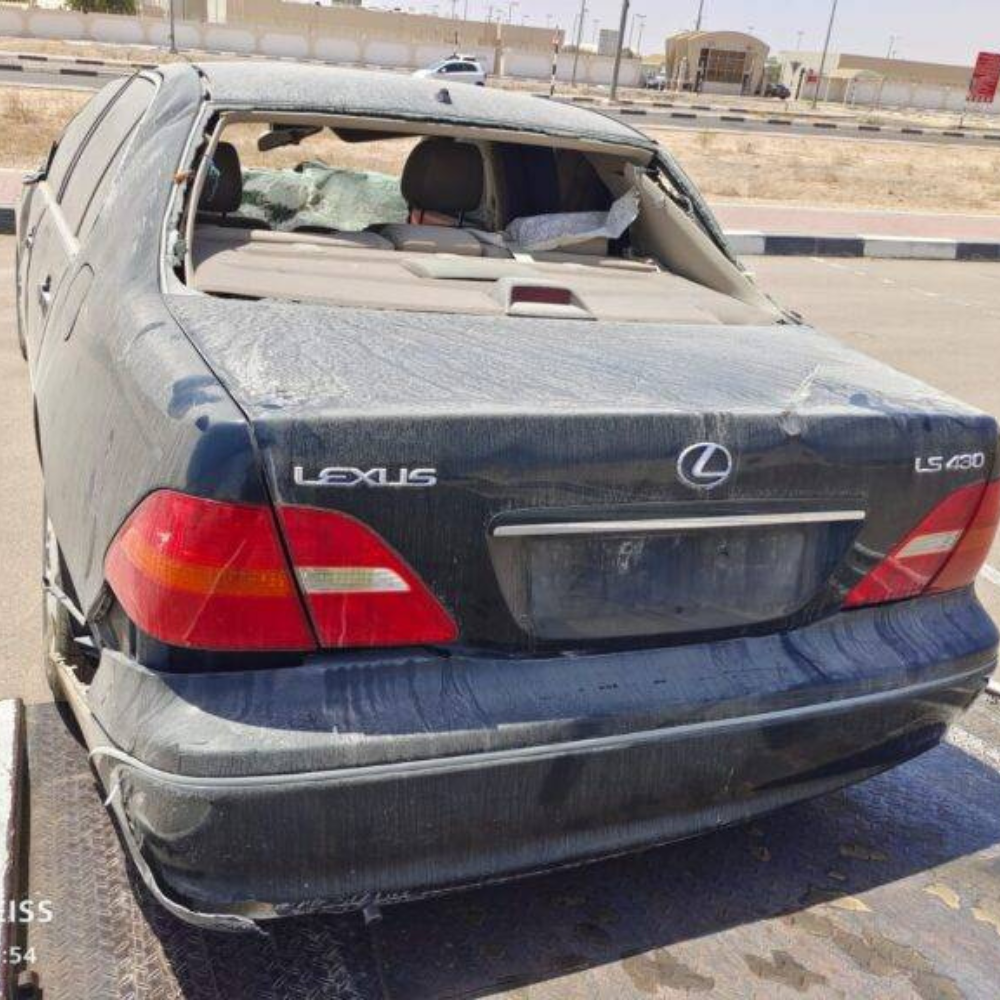 Untitled design - 2024-08-07T111244.159