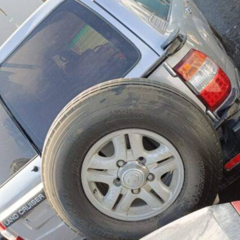 Untitled design - 2024-08-07T111433.484