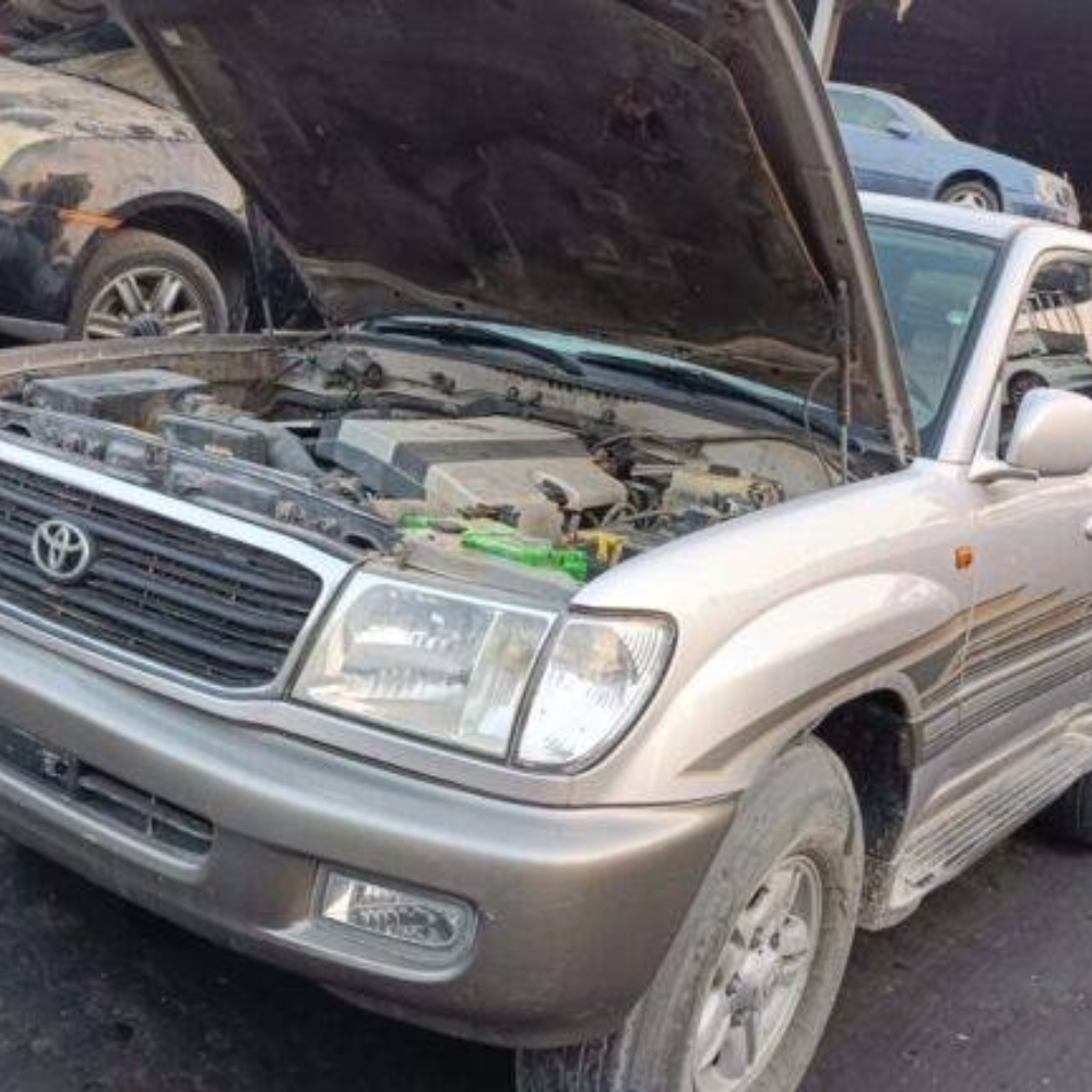 Untitled design - 2024-08-07T111628.568