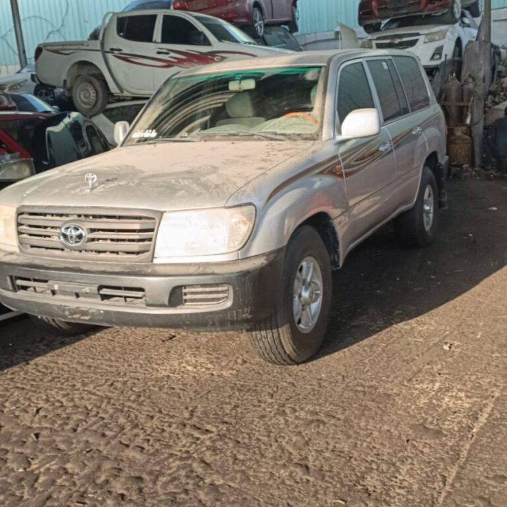 Untitled design - 2024-08-07T111651.822